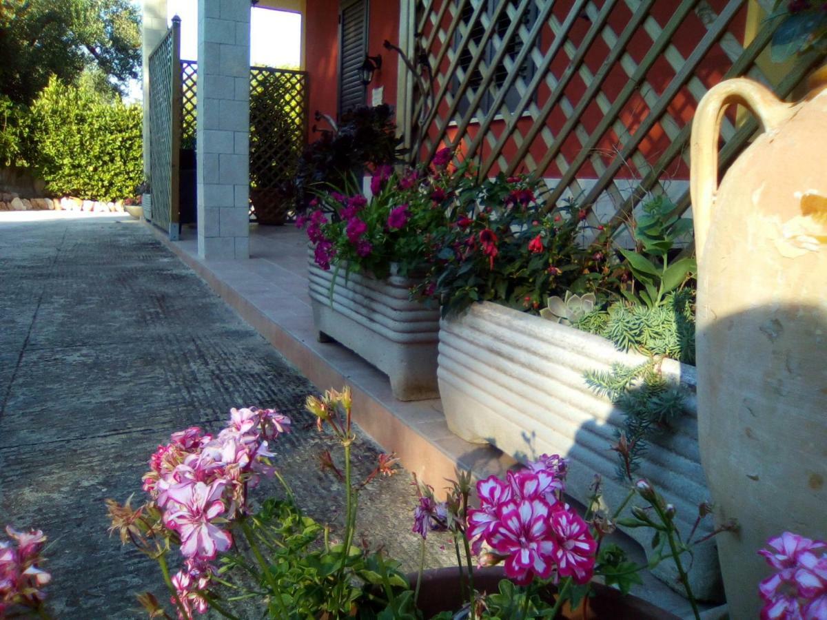 Casa Te La Bradamante Bed & Breakfast Magliano Exterior foto