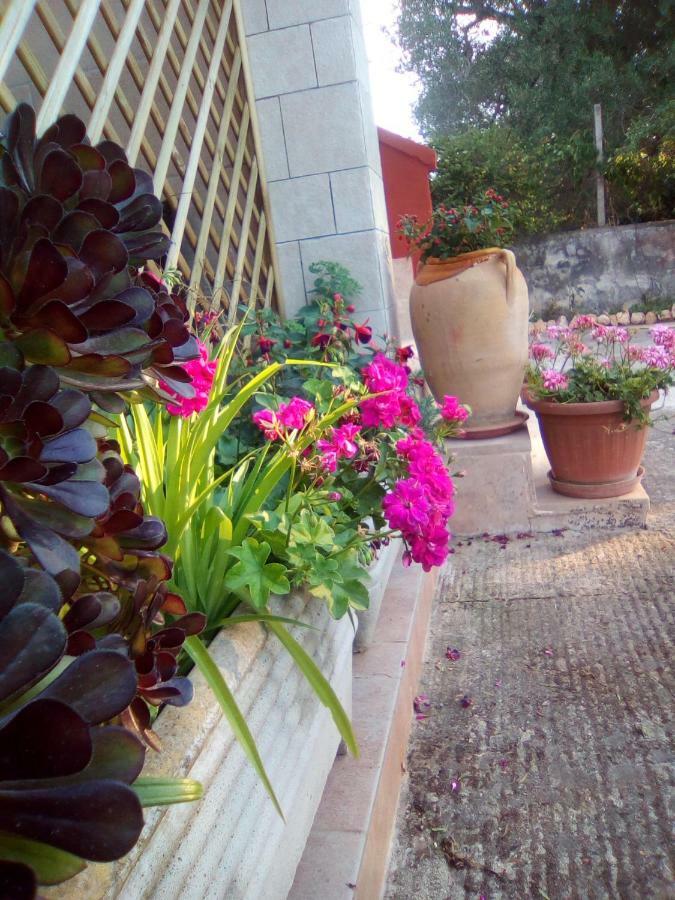 Casa Te La Bradamante Bed & Breakfast Magliano Exterior foto