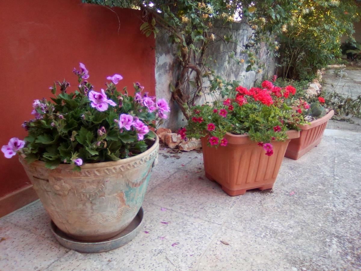 Casa Te La Bradamante Bed & Breakfast Magliano Exterior foto